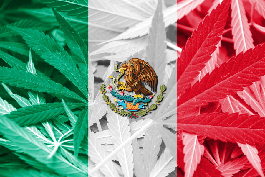 The 3rd Country to Legalize Marijuana Is... Going to Have to Wait Up to 8 More Months